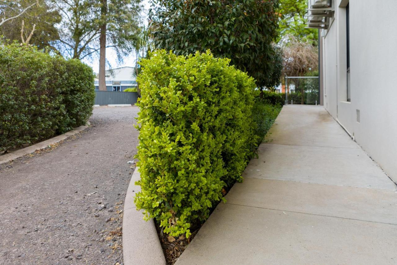 Apex Park Holiday Apartments Wangaratta Eksteriør bilde